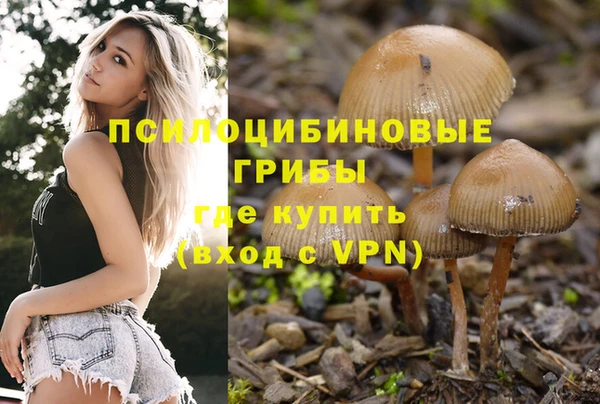 спиды Богородицк