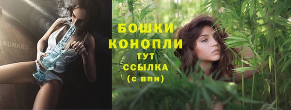 крисы Белоозёрский