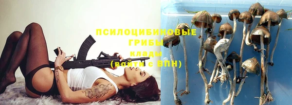 a pvp Белокуриха