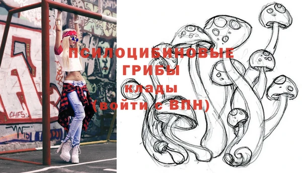 крисы Белоозёрский