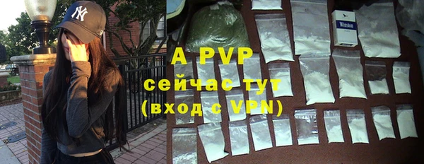 a pvp Белокуриха