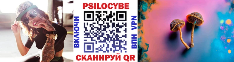 Псилоцибиновые грибы Psilocybine cubensis  OMG рабочий сайт  Вязники 