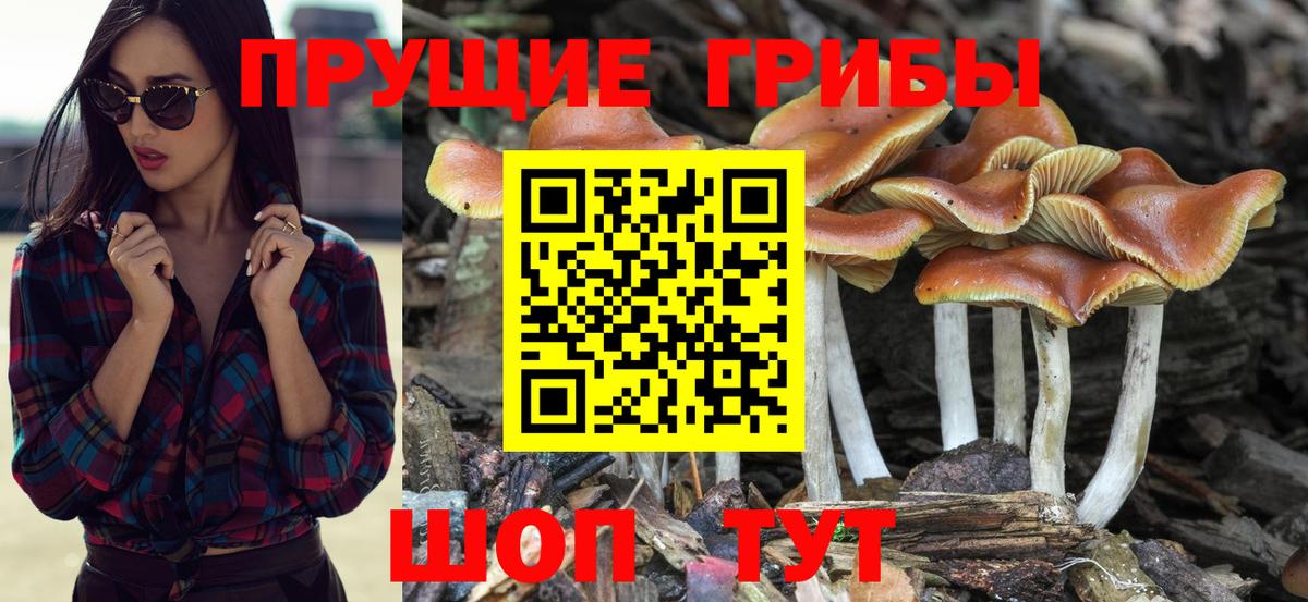 Галлюциногенные грибы мицелий  Вход с VPN  Вязники 